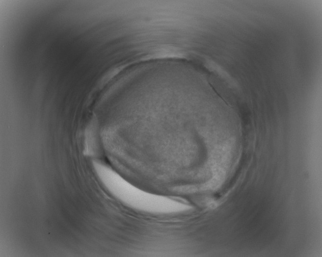 X0000081311169200702082103