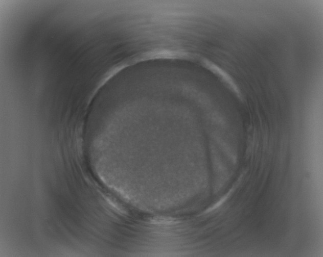 X0000081311170200702082103