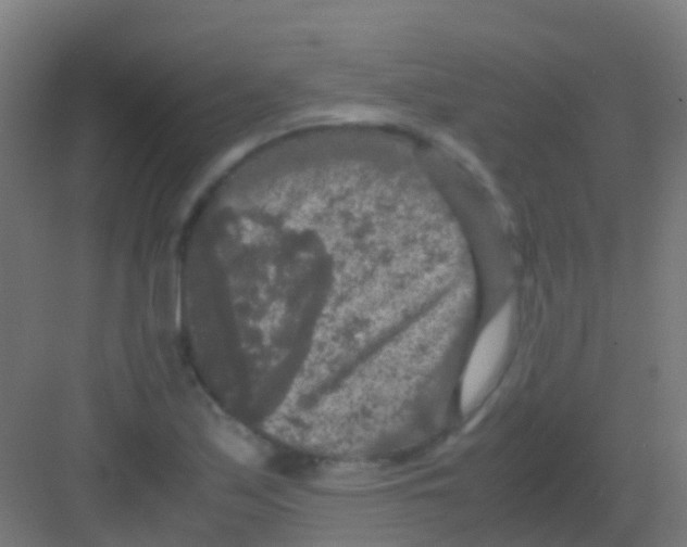 X0000081311171200702082103