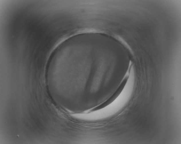 X0000081311173200702082102