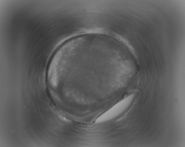 X0000081311174200702082102