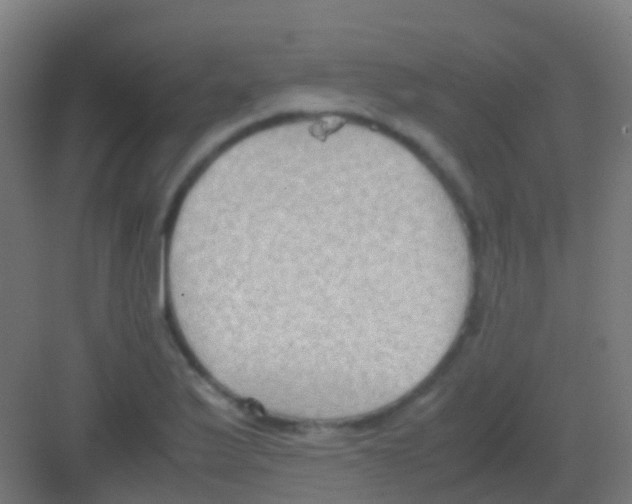 X0000081311175200702082102