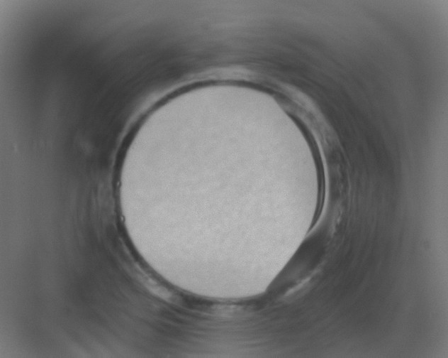 X0000081311176200702082102