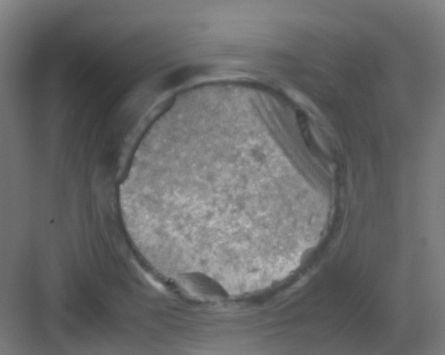 X0000081311177200702082102