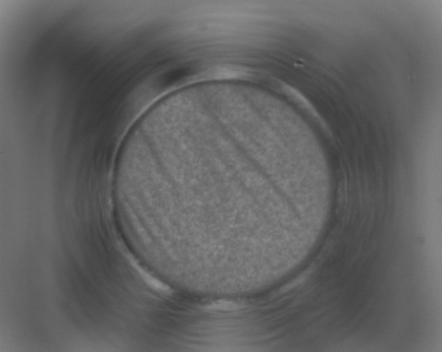 X0000081311178200702082102