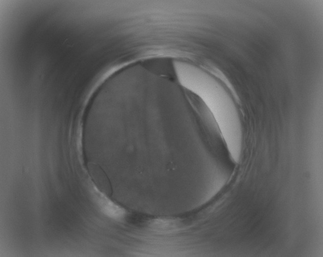 X0000081311179200702082102