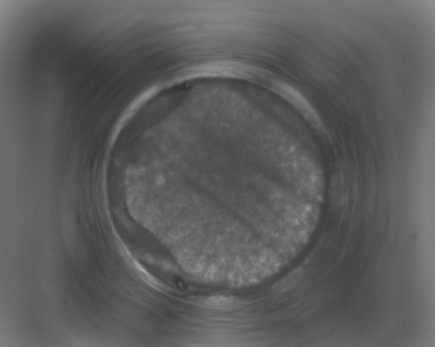 X0000081311180200702082102