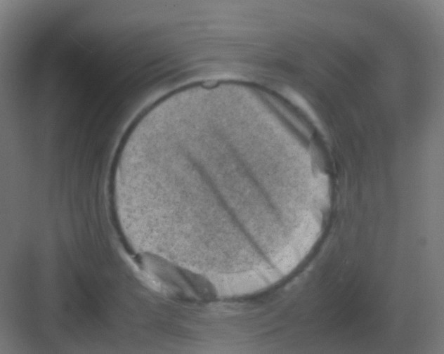 X0000081311181200702082102