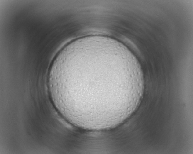 X0000081311182200702082102