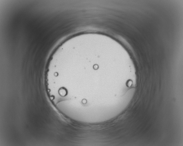 X0000081311183200702082102