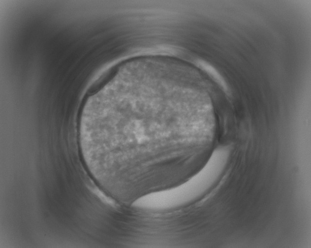 X0000081311184200702082102