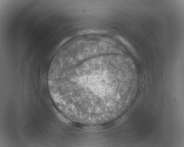 X0000081311185200702082102