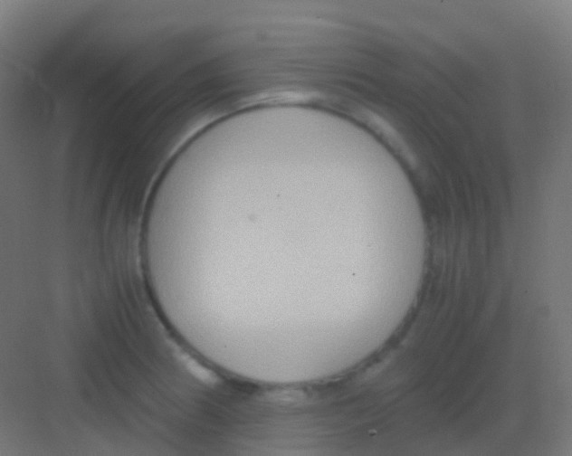 X0000081311186200702082102