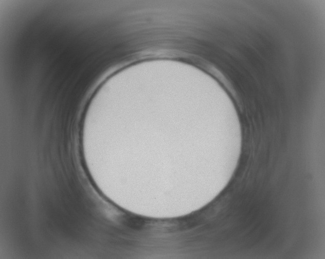 X0000081311187200702082102