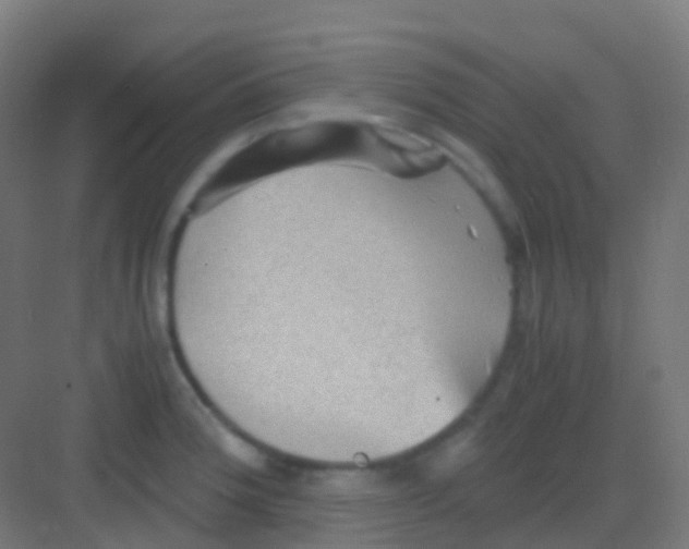 X0000081311188200702082102