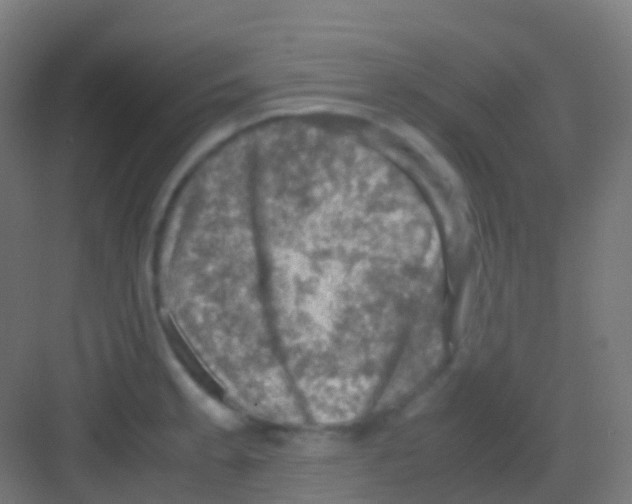 X0000081311189200702082102