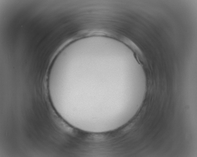 X0000081311190200702082102