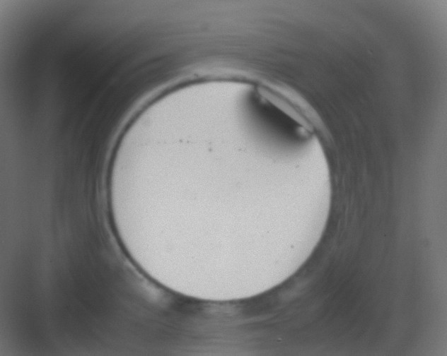 X0000081311191200702082102