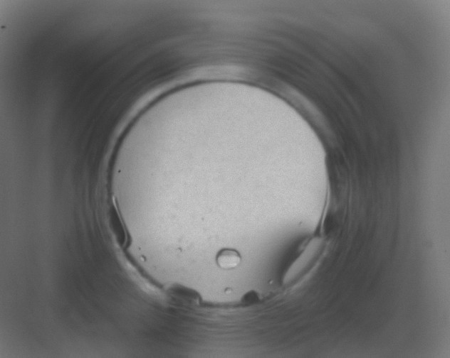 X0000081311192200702082102