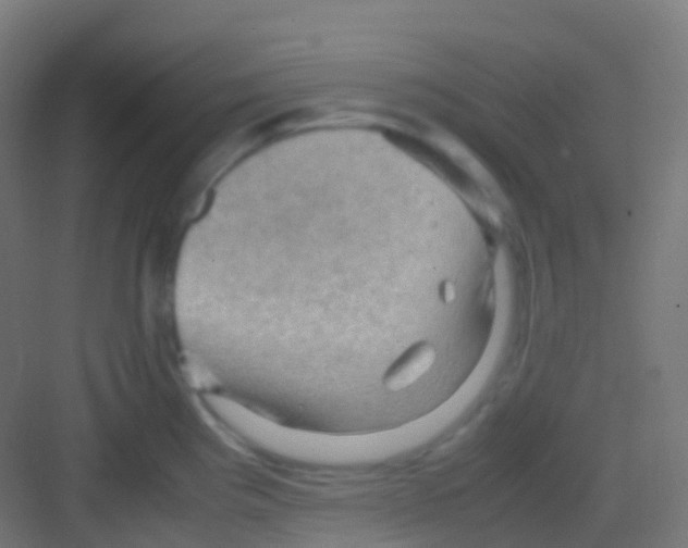 X0000081311193200702082102