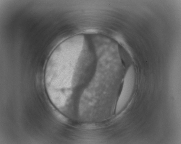 X0000081311194200702082102