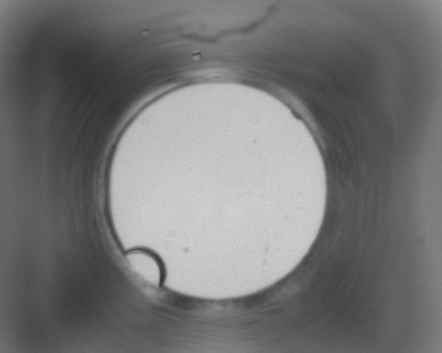 X0000081311195200702082102