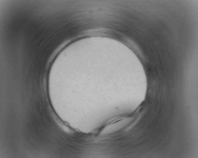 X0000081311196200702082102