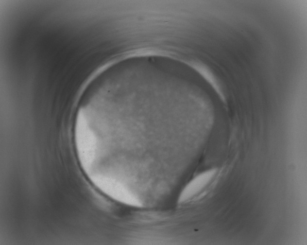 X0000081311197200702082102