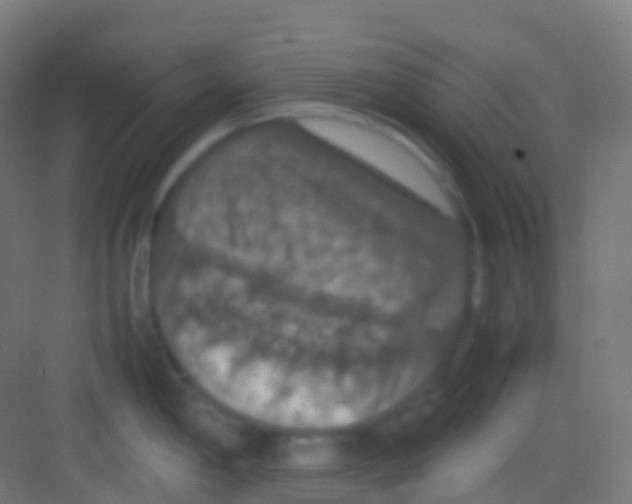 X0000081311198200702082102