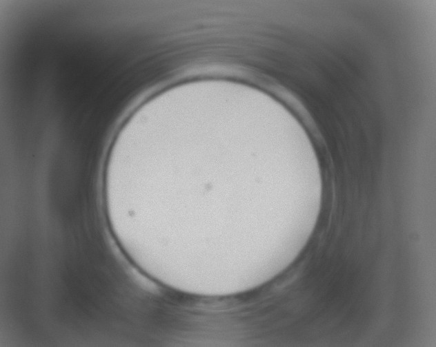 X0000081311199200702082102