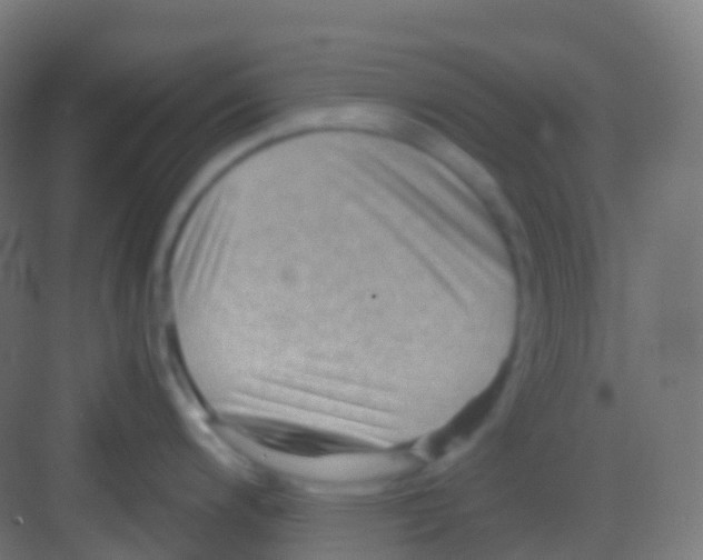 X0000081311200200702082102