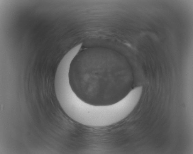 X0000081311202200702082101