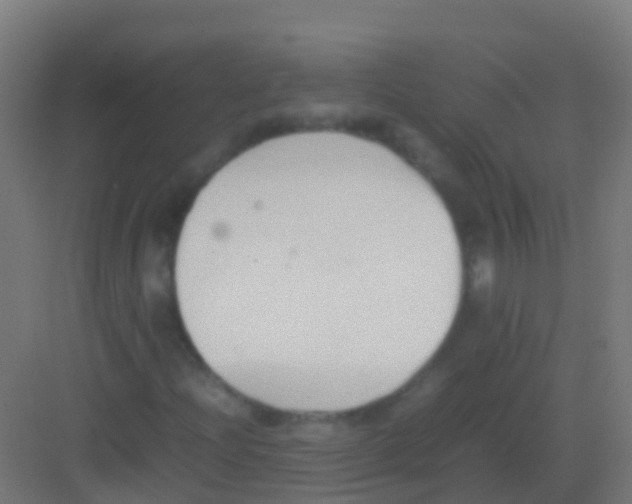 X0000081311204200702082101