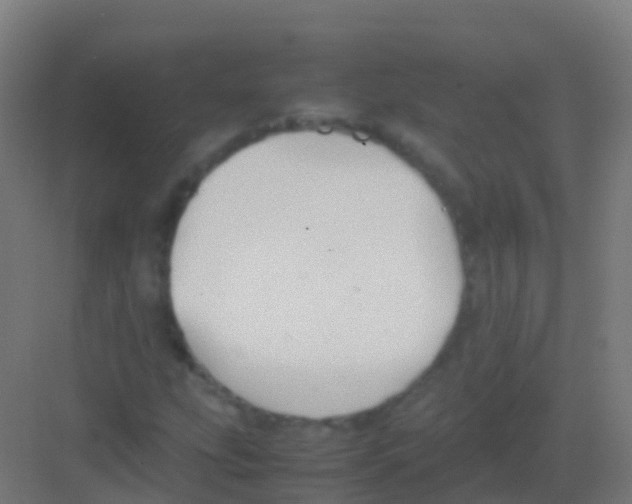 X0000081311207200702082101