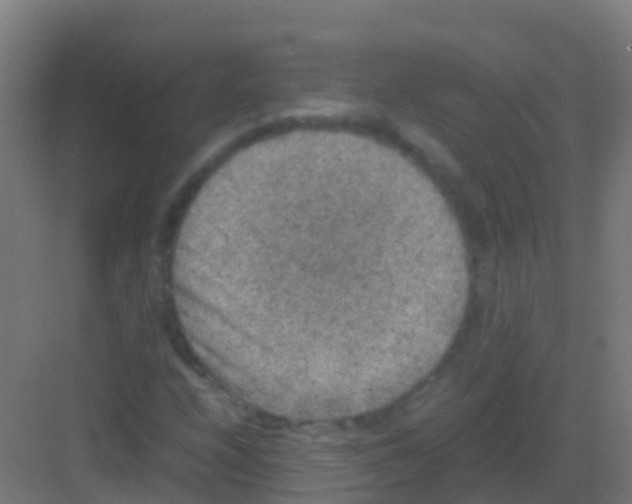 X0000081311208200702082101