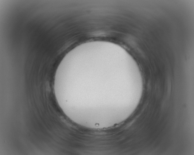 X0000081311209200702082101