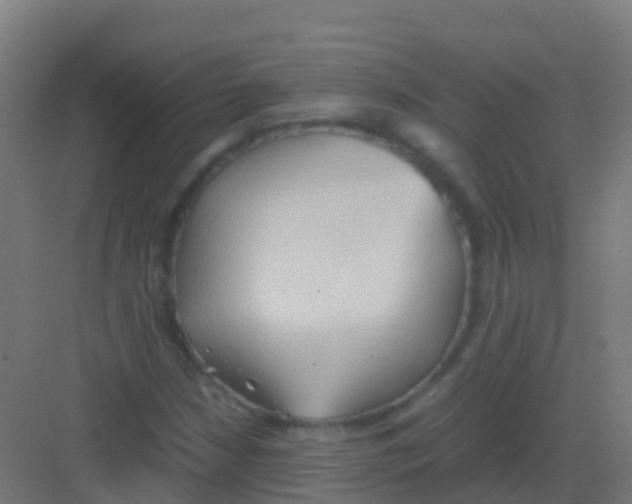 X0000081311210200702082101