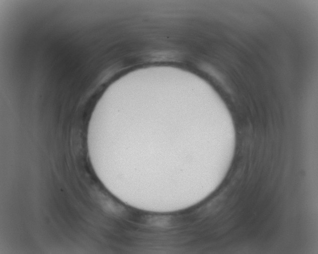 X0000081311211200702082101