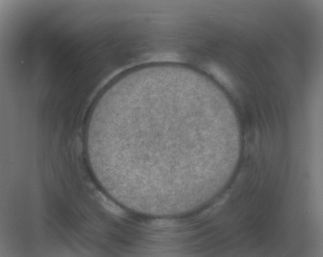 X0000081311212200702082101