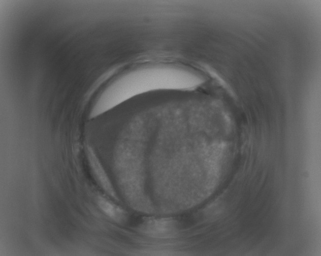 X0000081311213200702082101