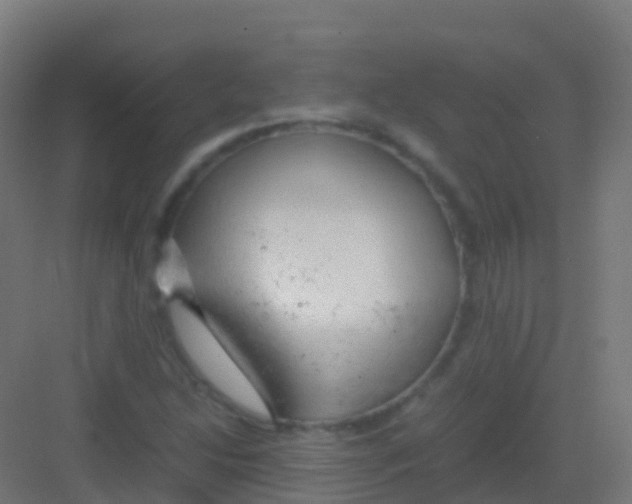 X0000081311214200702082101