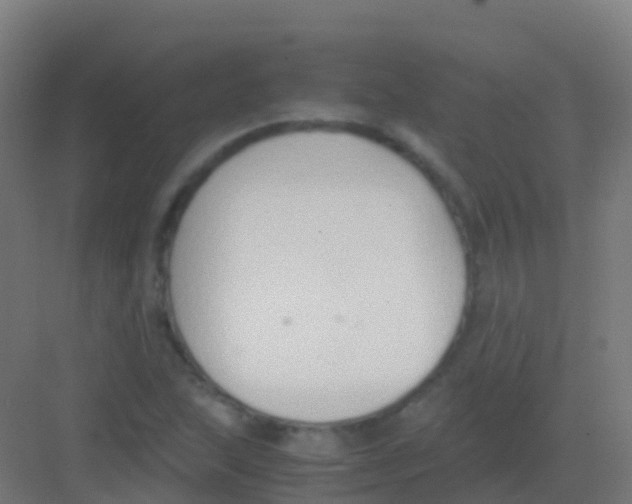 X0000081311215200702082101