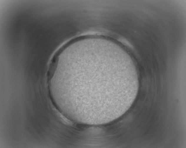 X0000081311216200702082101