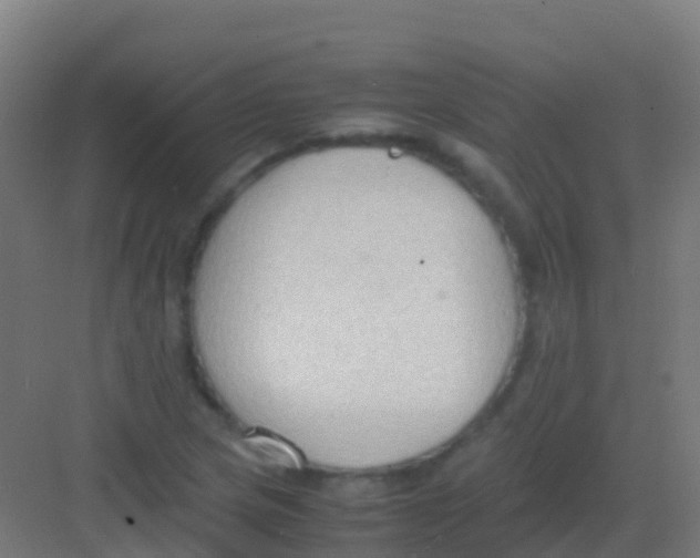 X0000081311217200702082101