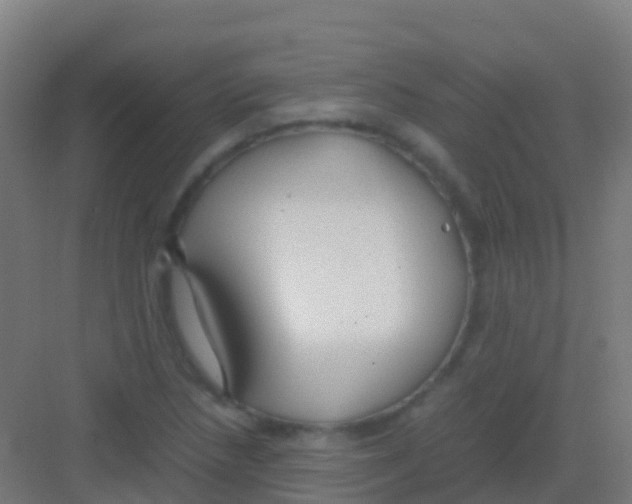 X0000081311218200702082101