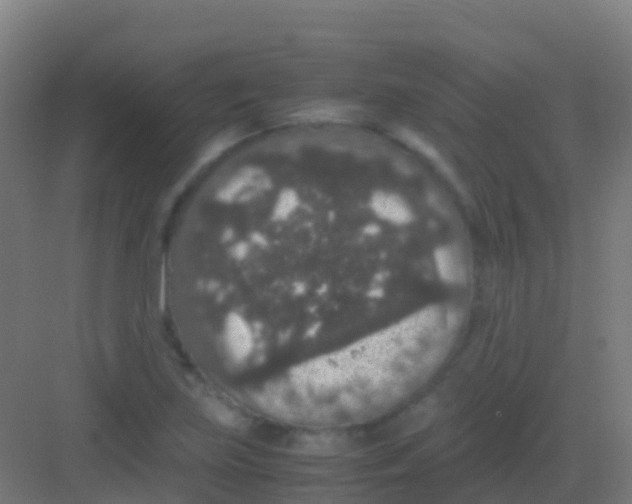 X0000081311219200702082101