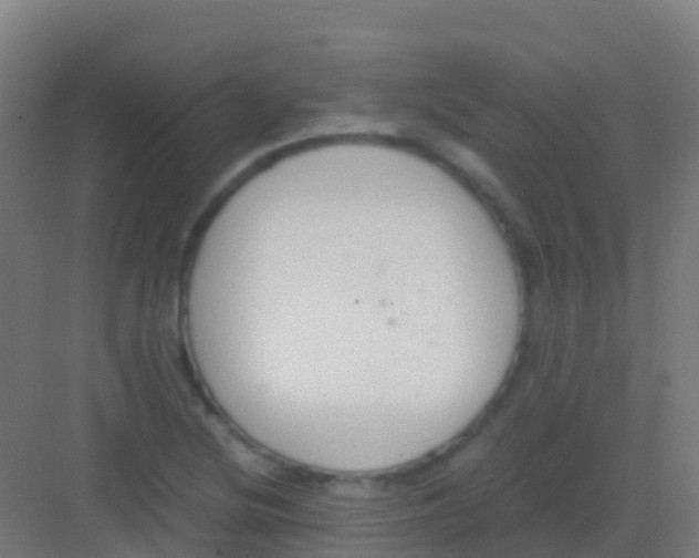 X0000081311220200702082101