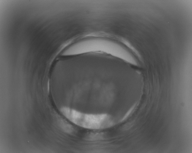 X0000081311221200702082101