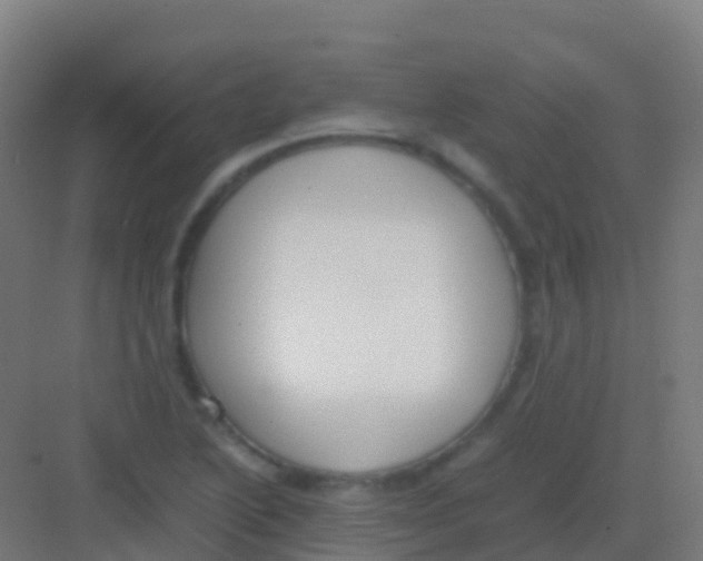 X0000081311222200702082101