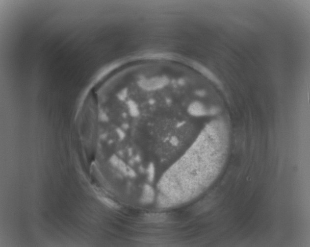 X0000081311223200702082101